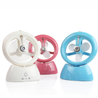 Mini fan